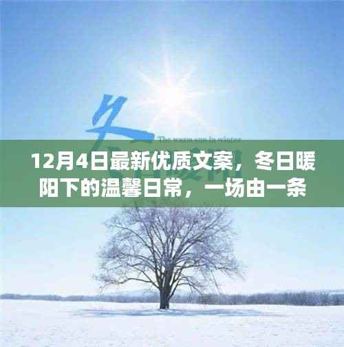 冬日暖阳下的文案奇缘,温馨日常的美丽邂逅