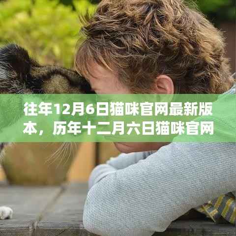 历年十二月六日猫咪官网新版深度解析,背景、影响与特定时代地位探索