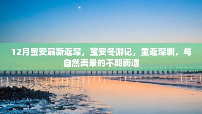 宝安冬游记,重返深圳,与自然美景的不期而遇