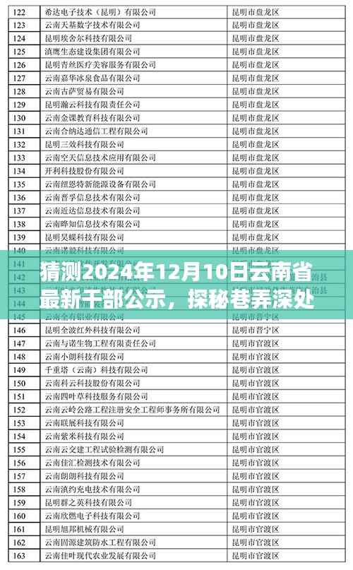 探秘巷弄深处,揭秘云南省干部公示动向与一家独特小店的故事(预测至2024年)