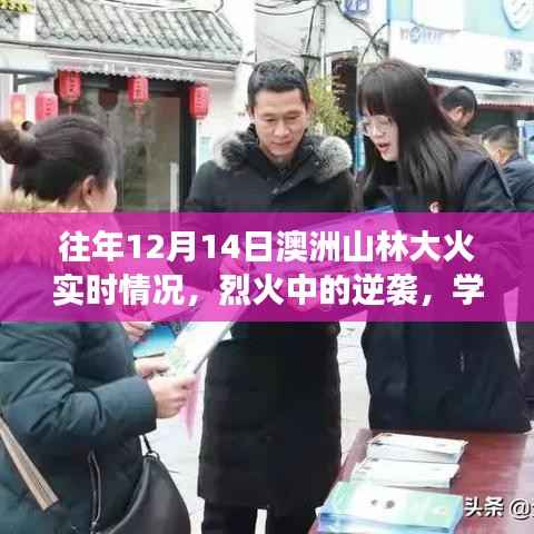 澳洲山林大火回顾,烈火中的逆袭与自我成长之路