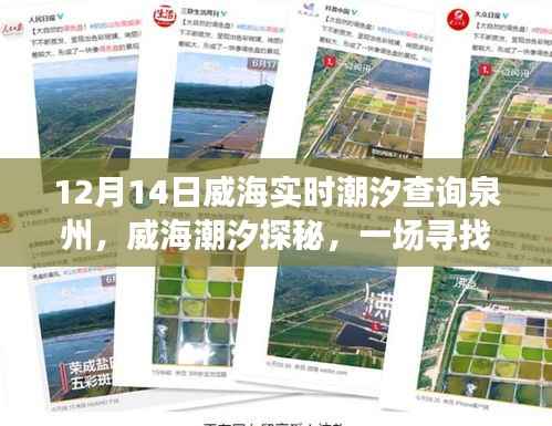 威海潮汐探秘之旅,启程于十二月十四日的内心平静之旅