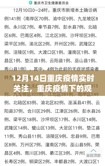 重庆疫情下的观察与思考,聚焦实时动态,解读疫情进展
