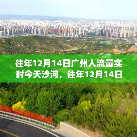 揭秘往年12月14日广州人流量与今日沙河拥挤状况回顾