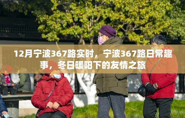 宁波367路日常趣事,冬日暖阳下的友情之旅