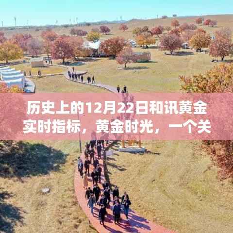 黄金时光,友谊、梦想与实时黄金指标的温馨篇章