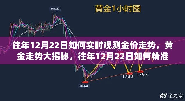 揭秘黄金走势,往年12月22日的精准实时观测金价动态策略