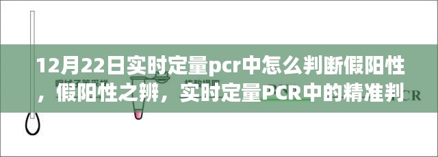 实时定量PCR中的假阳性辨识与精准判断艺术,假阳性之辨详解