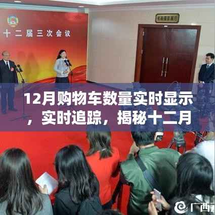 揭秘十二月购物车数量背后的秘密,实时追踪与实时显示数据报告