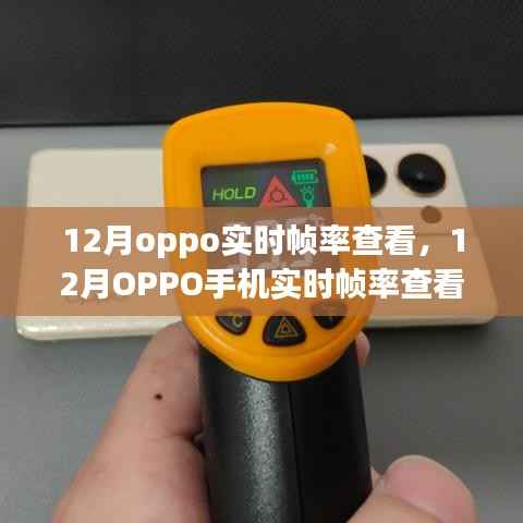 OPPO手机实时帧率查看全攻略,轻松掌握12月实时帧率查看方法