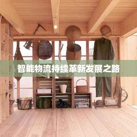 智能物流持续革新发展之路