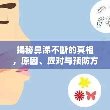 揭秘鼻涕不断的真相,原因、应对与预防方法