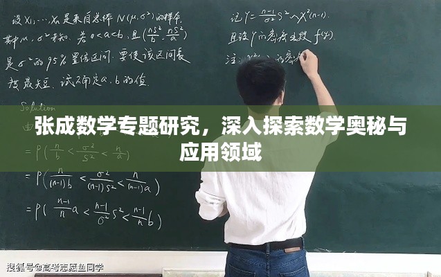 张成数学专题研究,深入探索数学奥秘与应用领域