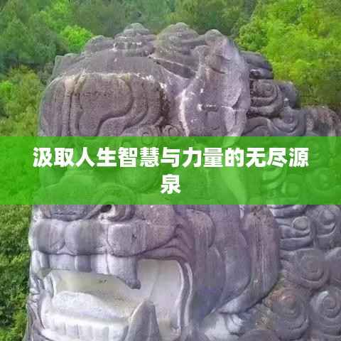 继晷焚膏 第3页