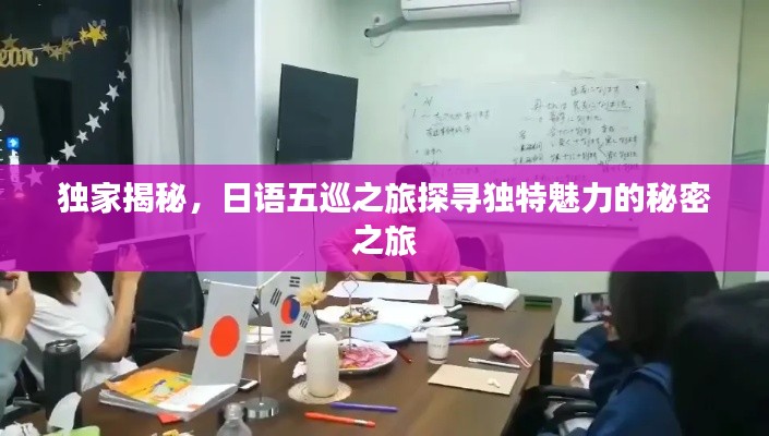 独家揭秘,日语五巡之旅探寻独特魅力的秘密之旅