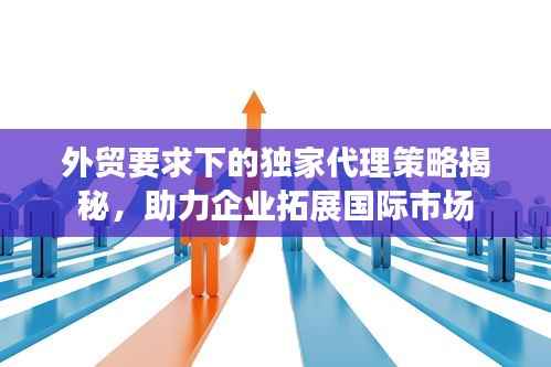 外贸要求下的独家代理策略揭秘,助力企业拓展国际市场