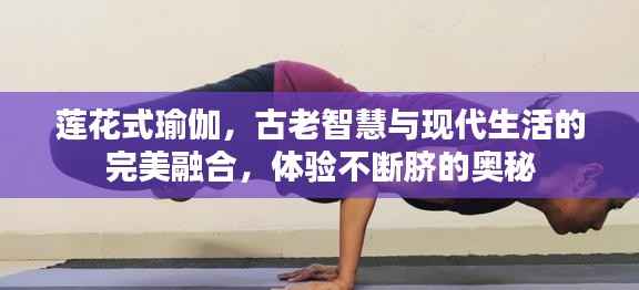 莲花式瑜伽,古老智慧与现代生活的完美融合,体验不断脐的奥秘