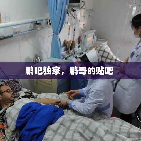 鹏吧独家,鹏哥的贴吧