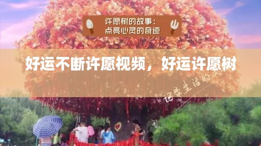 悬驼就石 第3页