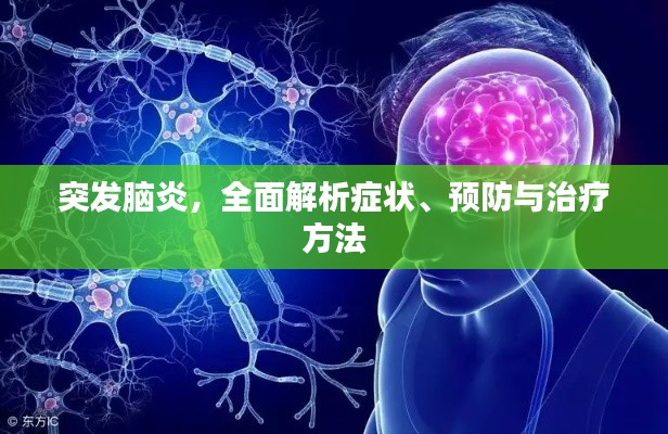 突发脑炎,全面解析症状、预防与治疗方法