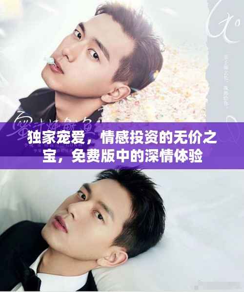 独家宠爱,情感投资的无价之宝,免费版中的深情体验