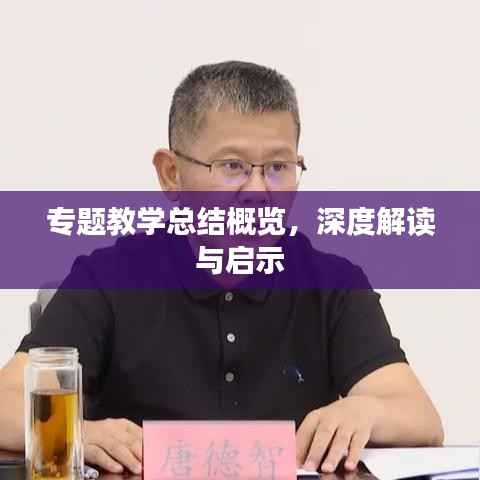 专题教学总结概览,深度解读与启示