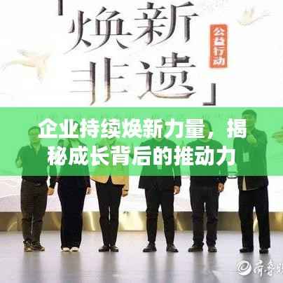 企业持续焕新力量,揭秘成长背后的推动力