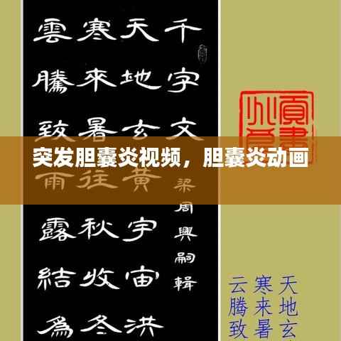 突发胆囊炎视频,胆囊炎动画