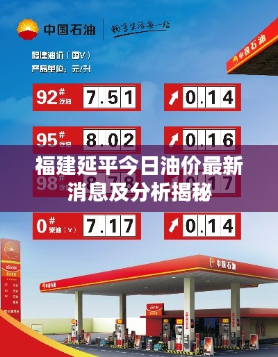 福建延平今日油价最新消息及分析揭秘
