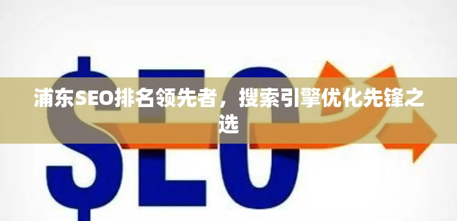 浦东SEO排名领先者,搜索引擎优化先锋之选