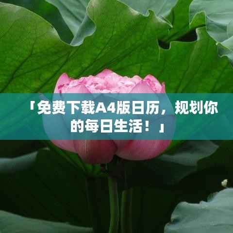 「免费下载A4版日历,规划你的每日生活!」
