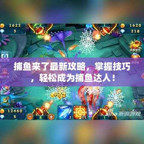 捕鱼来了最新攻略,掌握技巧,轻松成为捕鱼达人!