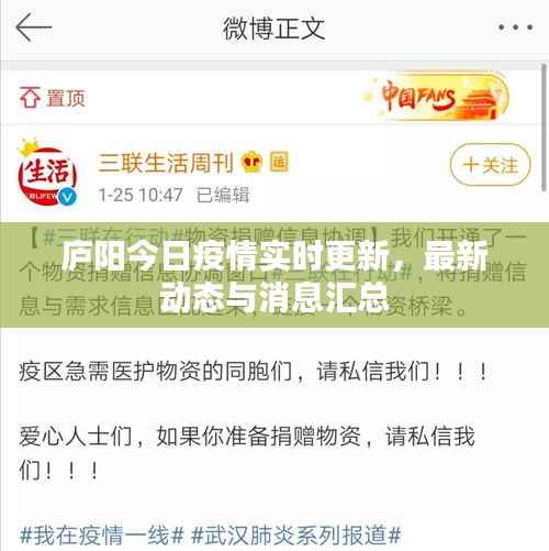 庐阳今日疫情实时更新,最新动态与消息汇总