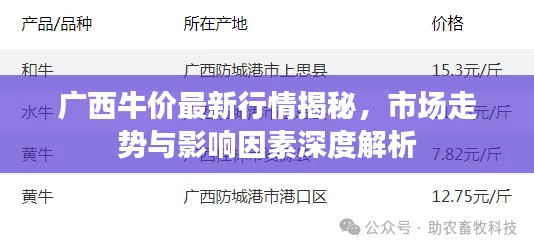 广西牛价最新行情揭秘,市场走势与影响因素深度解析