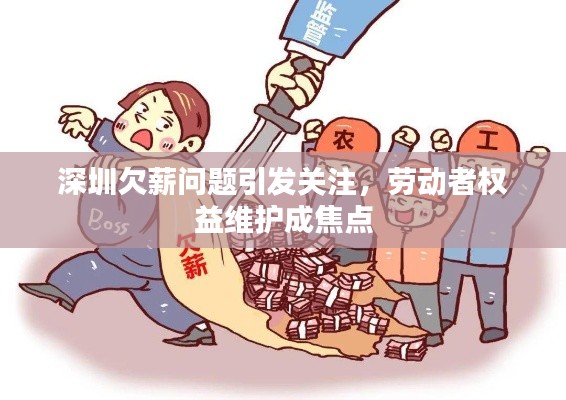 深圳欠薪问题引发关注,劳动者权益维护成焦点