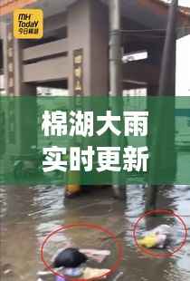 棉湖大雨实时更新,最新消息查询与天气动态