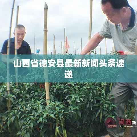 山西省德安县最新新闻头条速递