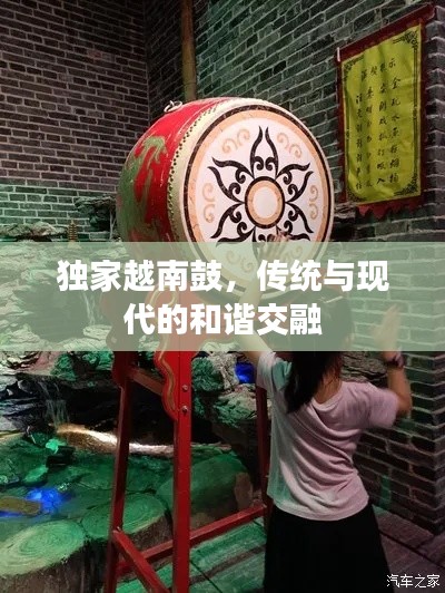 独家越南鼓,传统与现代的和谐交融