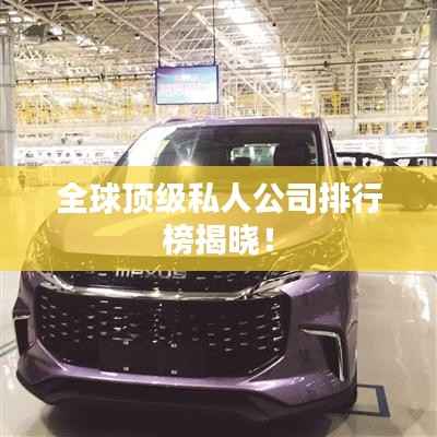全球顶级私人公司排行榜揭晓!