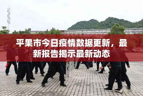 平果市今日疫情数据更新,最新报告揭示最新动态