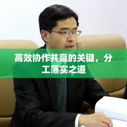 高效协作共赢的关键,分工落实之道