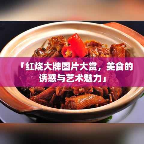 「红烧大牌图片大赏,美食的诱惑与艺术魅力」