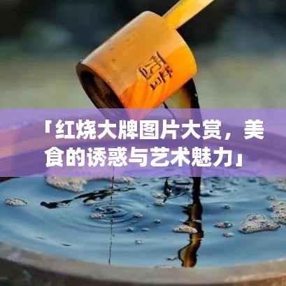 「红烧大牌图片大赏,美食的诱惑与艺术魅力」