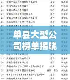 单县大型公司榜单揭晓,领先企业排名一览