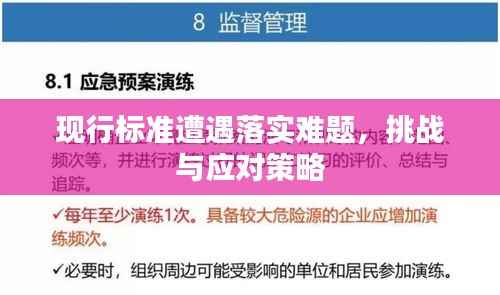 现行标准遭遇落实难题,挑战与应对策略