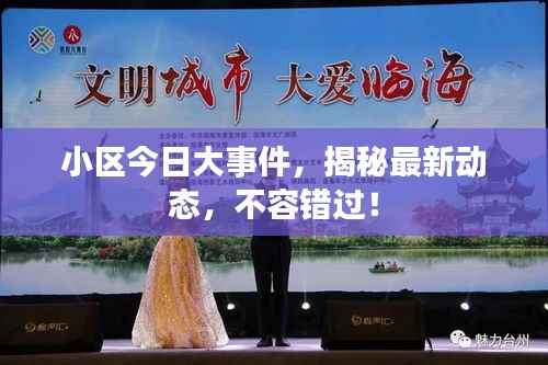 小区今日大事件,揭秘最新动态,不容错过!
