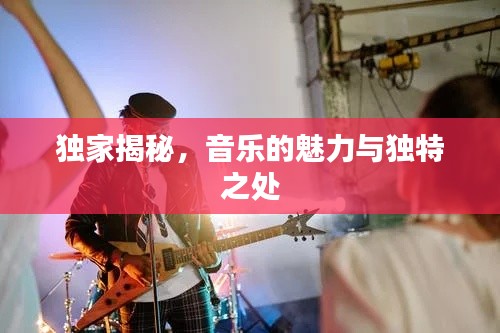 独家揭秘,音乐的魅力与独特之处