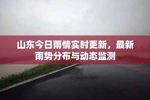 山东今日雨情实时更新,最新雨势分布与动态监测
