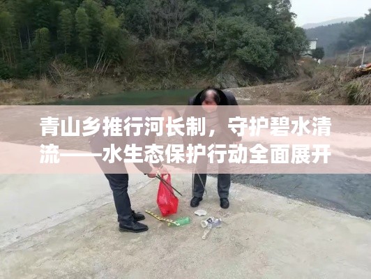 青山乡推行河长制,守护碧水清流——水生态保护行动全面展开