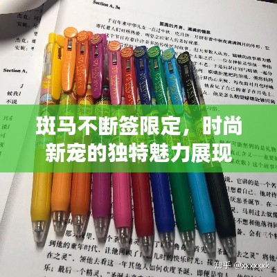 斑马不断签限定,时尚新宠的独特魅力展现